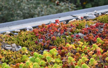 the cost of Mirbister green roof installation