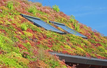 Mirbister living roof systems