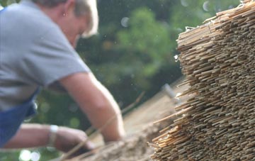 professional Mirbister thatchers