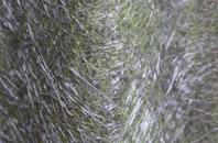 Mirbister fibreglass roof work