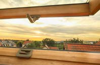 rated Mirbister roof window companies